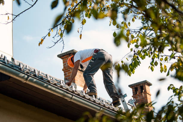 Best Gutter Installation and Roofing  in East Lansing, MI
